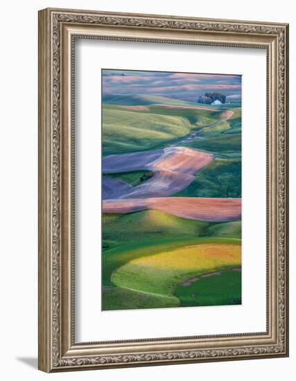 USA, Washington. Patterns and Colors of the Palouse Region-Jaynes Gallery-Framed Photographic Print