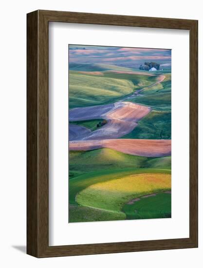 USA, Washington. Patterns and Colors of the Palouse Region-Jaynes Gallery-Framed Photographic Print