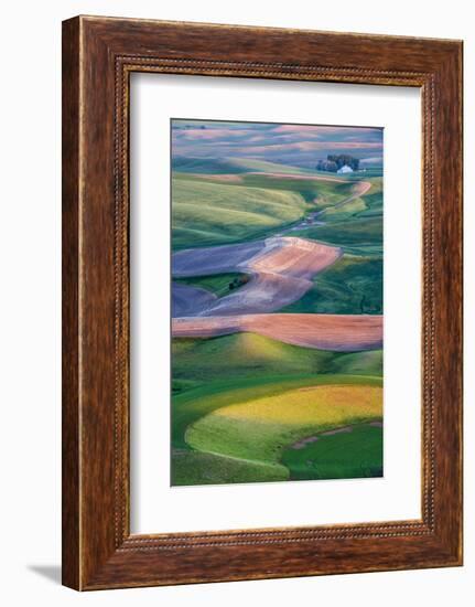 USA, Washington. Patterns and Colors of the Palouse Region-Jaynes Gallery-Framed Photographic Print