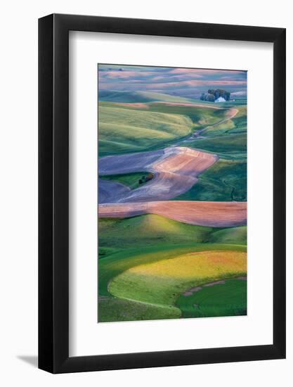 USA, Washington. Patterns and Colors of the Palouse Region-Jaynes Gallery-Framed Photographic Print