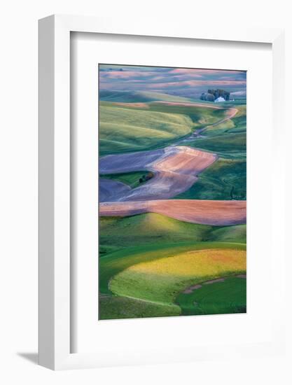 USA, Washington. Patterns and Colors of the Palouse Region-Jaynes Gallery-Framed Photographic Print