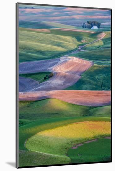 USA, Washington. Patterns and Colors of the Palouse Region-Jaynes Gallery-Mounted Photographic Print