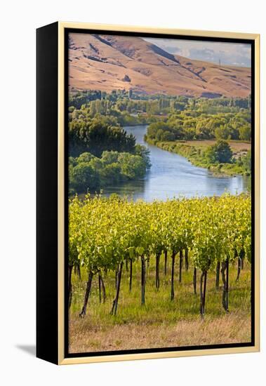 USA, Washington, Red Mountain. Vineyard on with the Yakima River-Richard Duval-Framed Premier Image Canvas