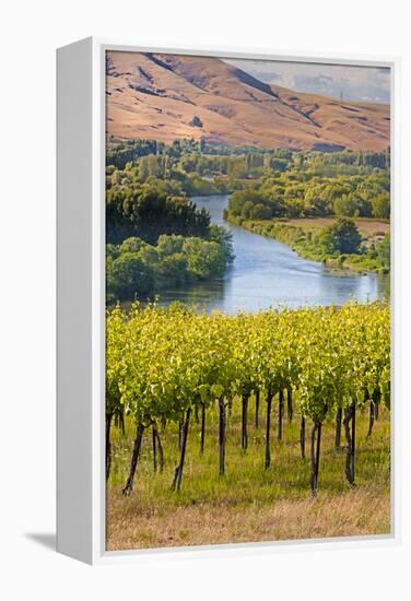 USA, Washington, Red Mountain. Vineyard on with the Yakima River-Richard Duval-Framed Premier Image Canvas