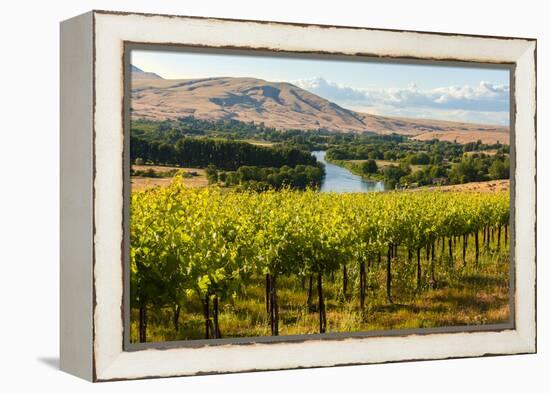 USA, Washington, Red Mountain. Vineyard on with the Yakima River-Richard Duval-Framed Premier Image Canvas