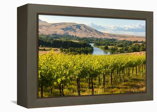 USA, Washington, Red Mountain. Vineyard on with the Yakima River-Richard Duval-Framed Premier Image Canvas