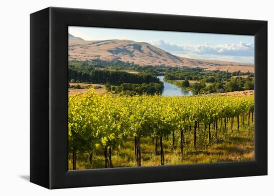 USA, Washington, Red Mountain. Vineyard on with the Yakima River-Richard Duval-Framed Premier Image Canvas