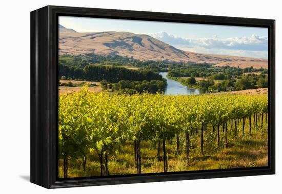 USA, Washington, Red Mountain. Vineyard on with the Yakima River-Richard Duval-Framed Premier Image Canvas