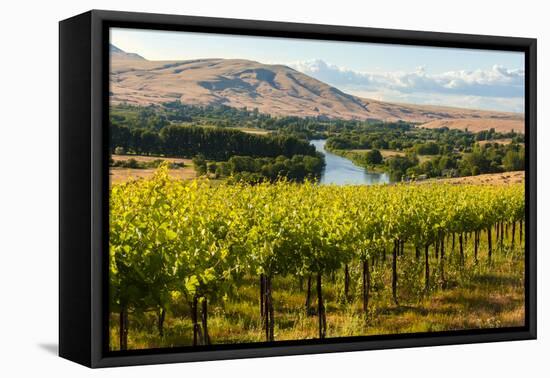 USA, Washington, Red Mountain. Vineyard on with the Yakima River-Richard Duval-Framed Premier Image Canvas