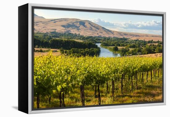 USA, Washington, Red Mountain. Vineyard on with the Yakima River-Richard Duval-Framed Premier Image Canvas