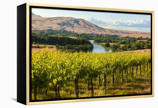 USA, Washington, Red Mountain. Vineyard on with the Yakima River-Richard Duval-Framed Premier Image Canvas