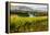 USA, Washington, Red Mountain. Vineyard on with the Yakima River-Richard Duval-Framed Premier Image Canvas