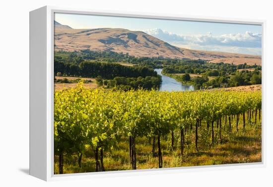 USA, Washington, Red Mountain. Vineyard on with the Yakima River-Richard Duval-Framed Premier Image Canvas