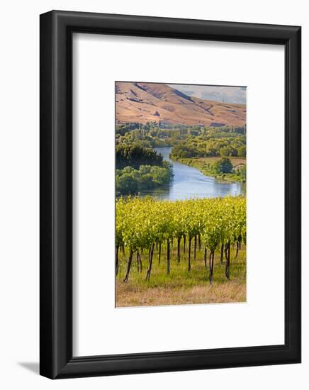 USA, Washington, Red Mountain. Vineyard on with the Yakima River-Richard Duval-Framed Photographic Print