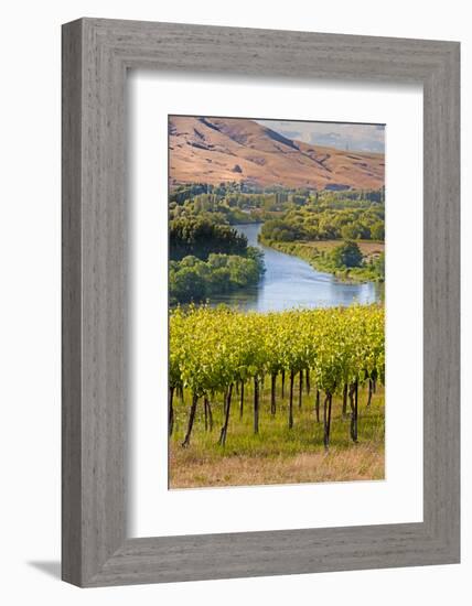 USA, Washington, Red Mountain. Vineyard on with the Yakima River-Richard Duval-Framed Photographic Print