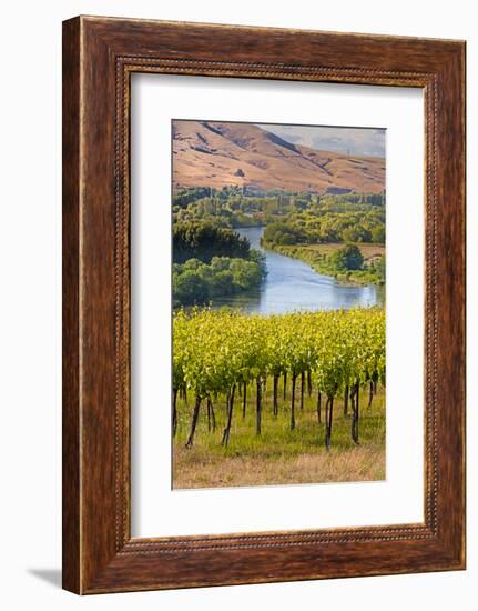 USA, Washington, Red Mountain. Vineyard on with the Yakima River-Richard Duval-Framed Photographic Print