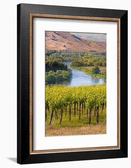 USA, Washington, Red Mountain. Vineyard on with the Yakima River-Richard Duval-Framed Photographic Print