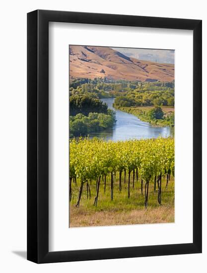 USA, Washington, Red Mountain. Vineyard on with the Yakima River-Richard Duval-Framed Photographic Print