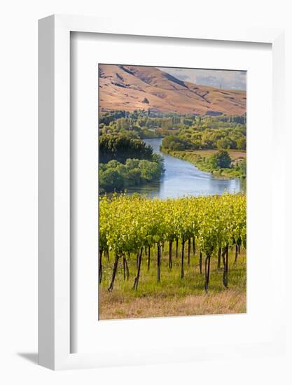 USA, Washington, Red Mountain. Vineyard on with the Yakima River-Richard Duval-Framed Photographic Print