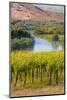 USA, Washington, Red Mountain. Vineyard on with the Yakima River-Richard Duval-Mounted Photographic Print