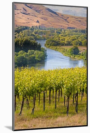 USA, Washington, Red Mountain. Vineyard on with the Yakima River-Richard Duval-Mounted Photographic Print