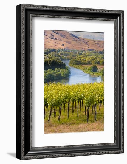 USA, Washington, Red Mountain. Vineyard on with the Yakima River-Richard Duval-Framed Photographic Print