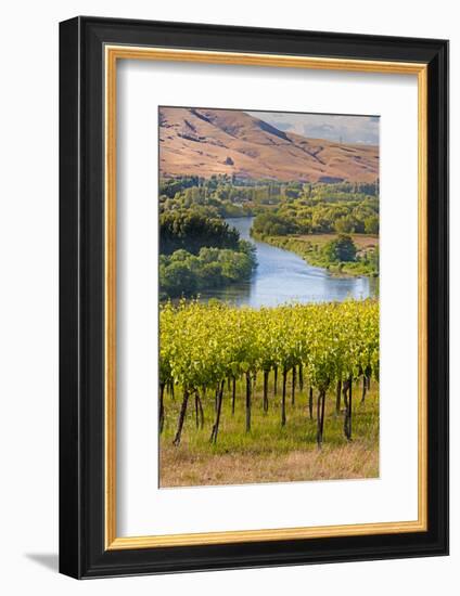 USA, Washington, Red Mountain. Vineyard on with the Yakima River-Richard Duval-Framed Photographic Print