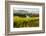 USA, Washington, Red Mountain. Vineyard on with the Yakima River-Richard Duval-Framed Photographic Print