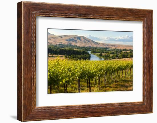 USA, Washington, Red Mountain. Vineyard on with the Yakima River-Richard Duval-Framed Photographic Print