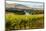 USA, Washington, Red Mountain. Vineyard on with the Yakima River-Richard Duval-Mounted Photographic Print