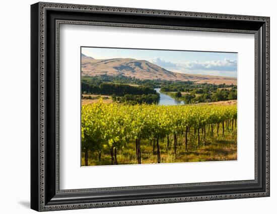 USA, Washington, Red Mountain. Vineyard on with the Yakima River-Richard Duval-Framed Photographic Print