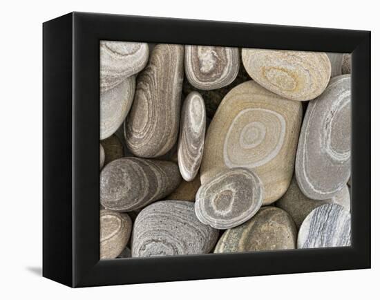 USA, Washington, Seabeck. Close-up of beach stones.-Don Paulson-Framed Premier Image Canvas