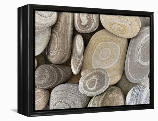 USA, Washington, Seabeck. Close-up of beach stones.-Don Paulson-Framed Premier Image Canvas