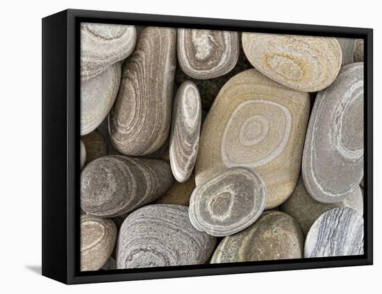 USA, Washington, Seabeck. Close-up of beach stones.-Don Paulson-Framed Premier Image Canvas