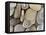 USA, Washington, Seabeck. Close-up of beach stones.-Don Paulson-Framed Premier Image Canvas