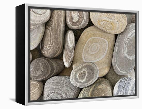 USA, Washington, Seabeck. Close-up of beach stones.-Don Paulson-Framed Premier Image Canvas