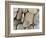 USA, Washington, Seabeck. Close-up of beach stones.-Don Paulson-Framed Photographic Print