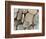 USA, Washington, Seabeck. Close-up of beach stones.-Don Paulson-Framed Photographic Print