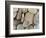 USA, Washington, Seabeck. Close-up of beach stones.-Don Paulson-Framed Photographic Print