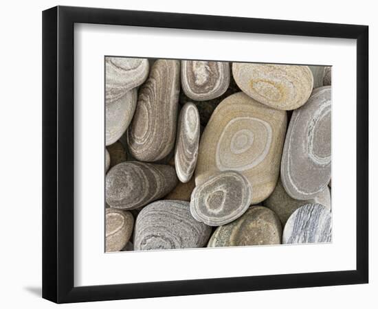 USA, Washington, Seabeck. Close-up of beach stones.-Don Paulson-Framed Photographic Print