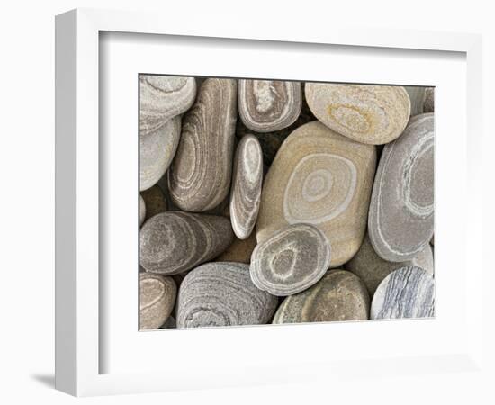 USA, Washington, Seabeck. Close-up of beach stones.-Don Paulson-Framed Photographic Print