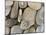 USA, Washington, Seabeck. Close-up of beach stones.-Don Paulson-Mounted Photographic Print
