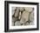 USA, Washington, Seabeck. Close-up of beach stones.-Don Paulson-Framed Photographic Print