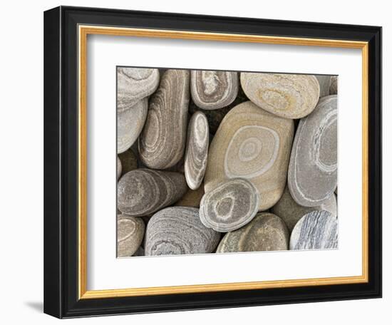 USA, Washington, Seabeck. Close-up of beach stones.-Don Paulson-Framed Photographic Print