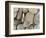 USA, Washington, Seabeck. Close-up of beach stones.-Don Paulson-Framed Photographic Print