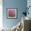 USA, Washington, Seabeck. Pink hyacinth flowers.-Jaynes Gallery-Framed Photographic Print displayed on a wall