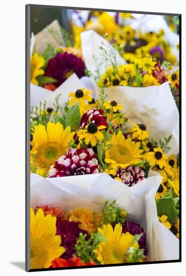 USA, Washington, Seattle, Colorful bouquets at Pike Place Public.-Trish Drury-Mounted Photographic Print