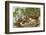 USA, Washington, Seattle. Mallard duck with ducklings on a log.-Steve Kazlowski-Framed Photographic Print