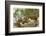 USA, Washington, Seattle. Mallard duck with ducklings on a log.-Steve Kazlowski-Framed Photographic Print