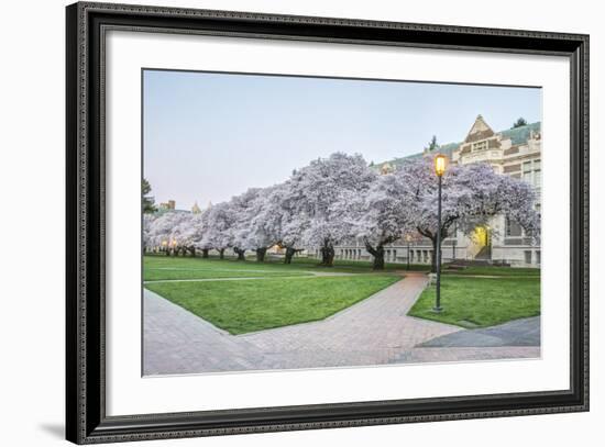 USA, Washington, Seattle, University of Washington Quad at Dawn-Rob Tilley-Framed Photographic Print